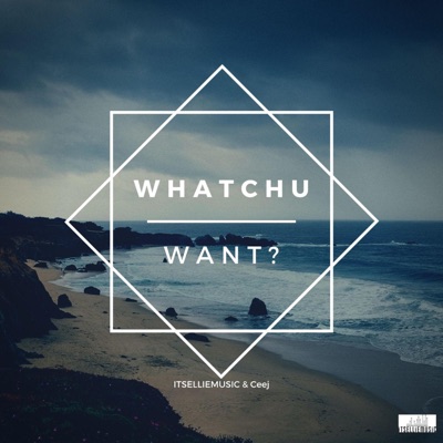 Whatchu Want? (feat. Ceej) - Single