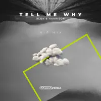Tell Me Why — Alok & Harrison
