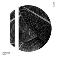 Surviving - Single - Saive & Kleiber