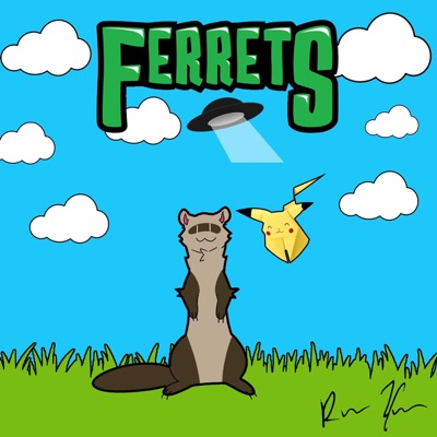 Ferrets - Single