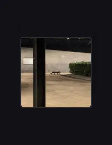 Luister naar BBLUEROSE, bekijk muziekvideo's, lees de bio, bekijk de tourdata, en meer!