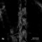 Rabia y Tristeza - Greyhead lyrics
