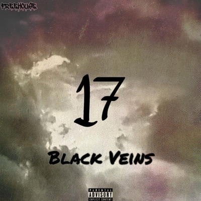 -17- - EP