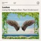 Losing My Religion (feat. Pearl Andersson) - Lookee lyrics