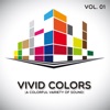 Vivid Colors, Vol. 1