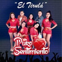 Puro Sentimiento - Terco Corazón