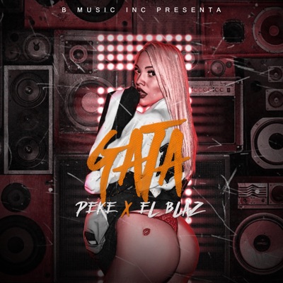 Gata (feat. Peke) - Single