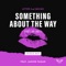 Something About The Way (Hot Or Not) Disco Mix [feat. Janine Fagan] artwork