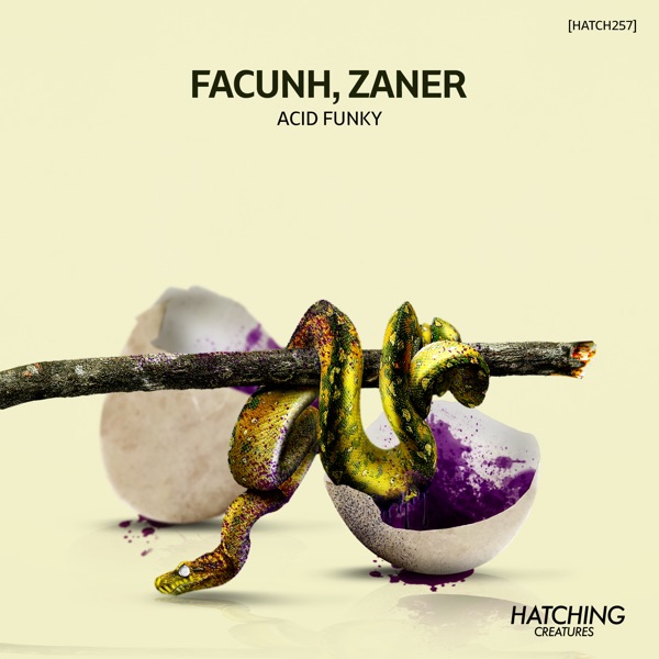 Acid Funky - Single