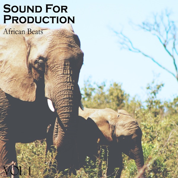 African Beats, Vol. 1