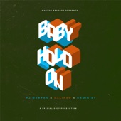 Baby Hold On (feat. PJ Morton, Kalipop & Dominic) artwork