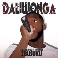 Ebusuku (feat. ThackzinDj & Shaun 101) - Single - Daliwonga