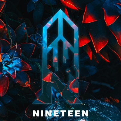 Nineteen - Single