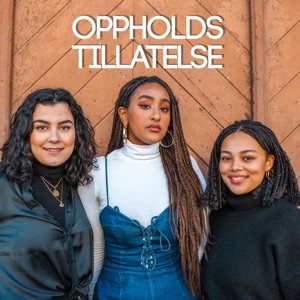 Oppholdstillatelse S1E11 17.mai 101 for utlendinger