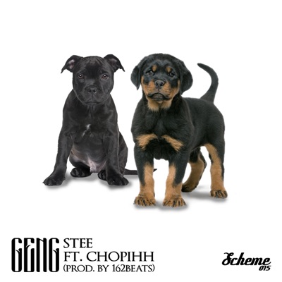 Geng (feat. Chopihh) - Single