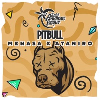 Pitbull - Single - Menasa & Ataniro