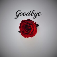 Goodbye (feat. Emma Zettervall) - Single - Plivi