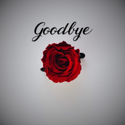 Goodbye (feat. Emma Zettervall) - Single