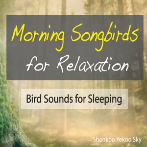 Morning Songbirds