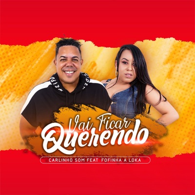 Vai Ficar Querendo (feat. Fofinha A Loka) - Single