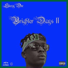 Never Had Shit (feat. Halo & BaseNa) Steezy Dre