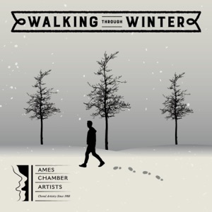 Walking Through Winter