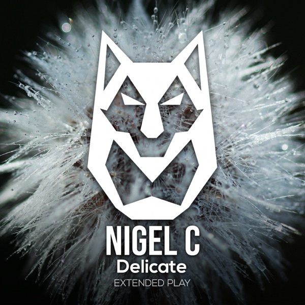 Delicate - Single
