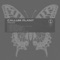 Prelude (Persohna Rework) - Callum Plant lyrics