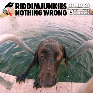 Nothing Wrong - Single