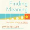 Finding Meaning (Unabridged) - David Kessler