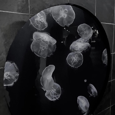 Hope We Meet Again - Single