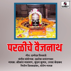 Paraliche Vaijnath