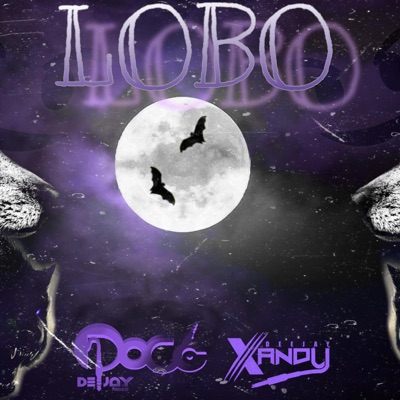 Lobo (feat. DJ Poco) - Single