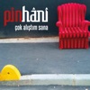 Pinhani - Çok Alıştım Sana