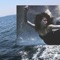 Seraphina - Not For Radio lyrics