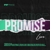 Promise (Live) artwork