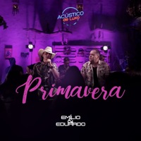 Acústico de Luxo: Primavera - Single - Emílio & Eduardo