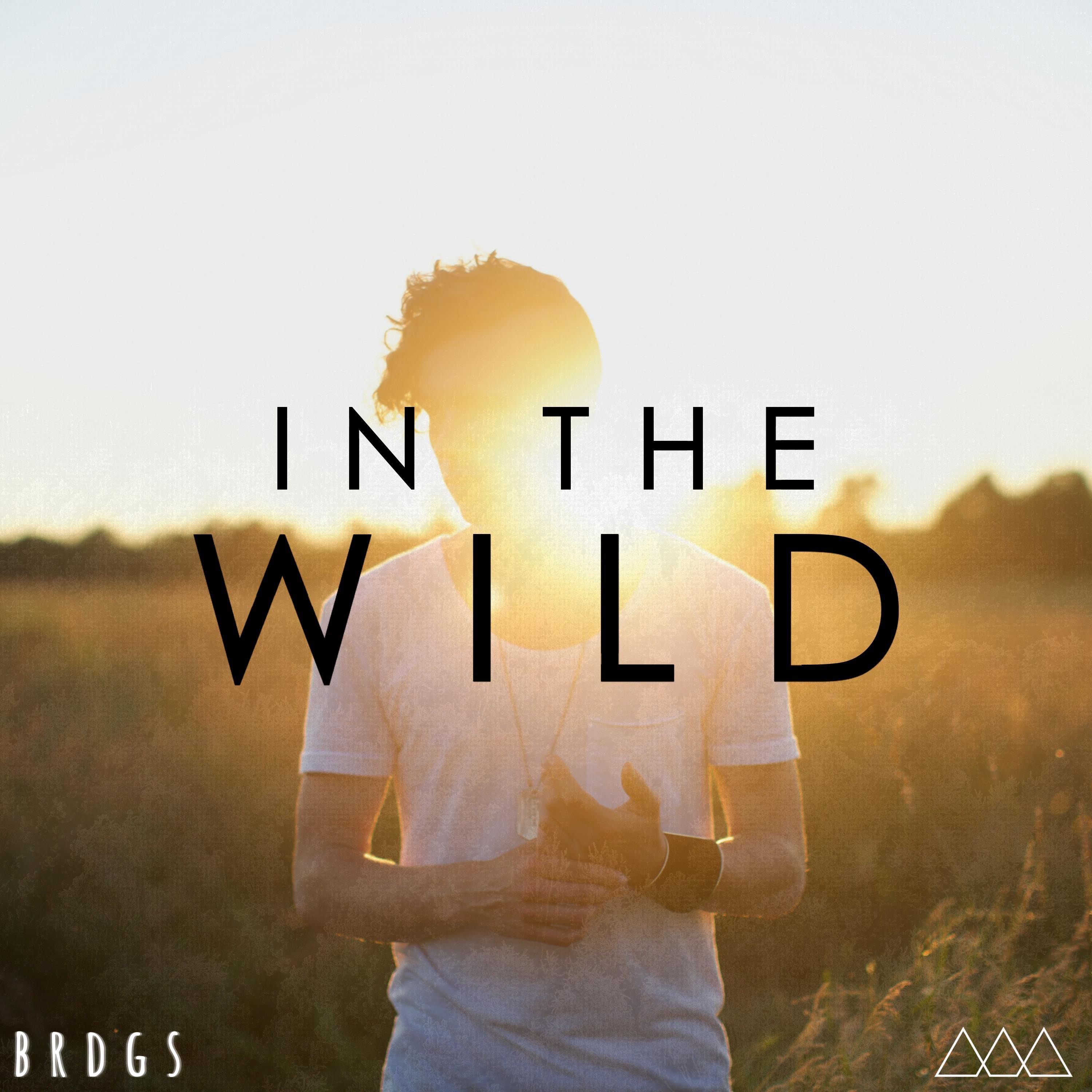 Now On Air: BRDGS - In The Wild (Original Mix)