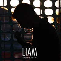 SENZA TE NO — LIAM