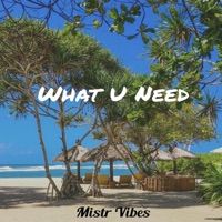 What U Need - Single - Mistr Vibes