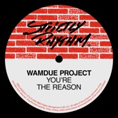 You're The Reason (Wam Remix) artwork