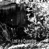 Lost in a Quarantine artwork