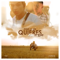 Dime Si Me Quieres (feat. Bless) - Single - Ziliax