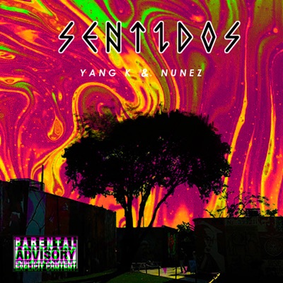 Sentidos - Single