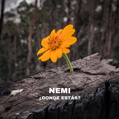 ¿Donde Estas? - Single