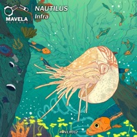 Infra - Single - Nautilus