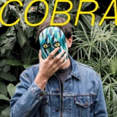 François Club - Cobra I