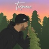 Terpenes - Single