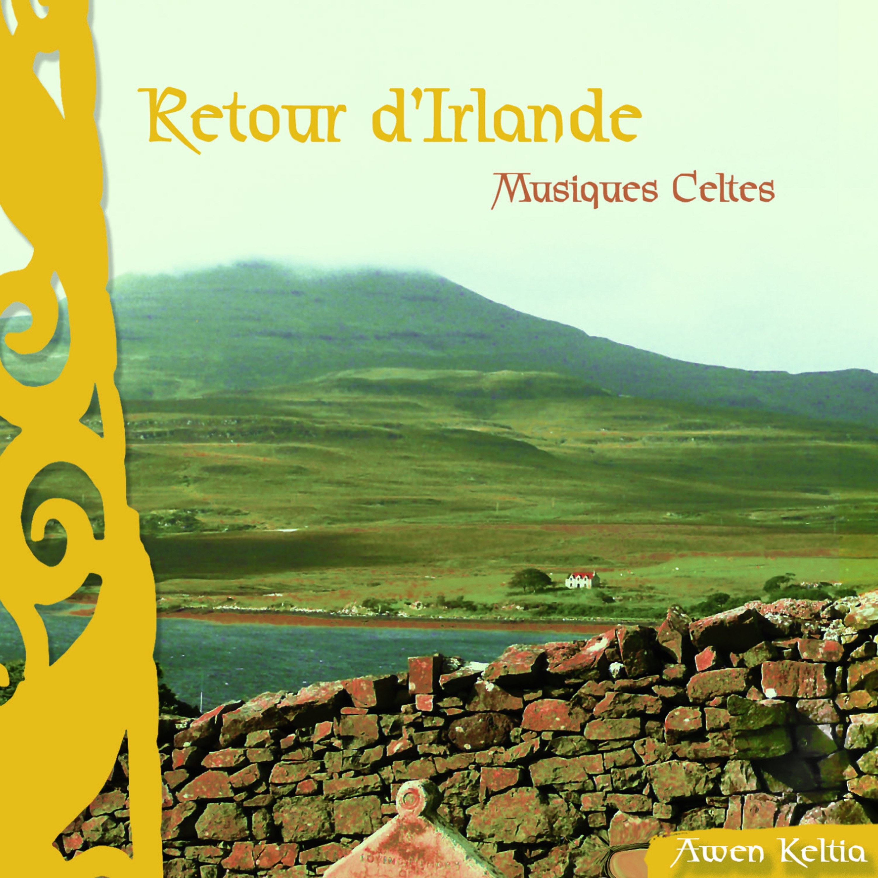 Retour d'Irlande (Musiques celtes)
