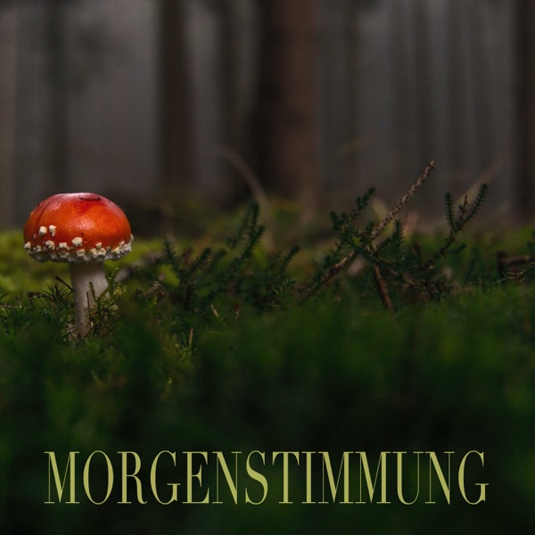 Morgenstimmung - Single